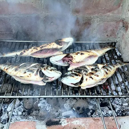 Pensionat Proto-free Parking 3*