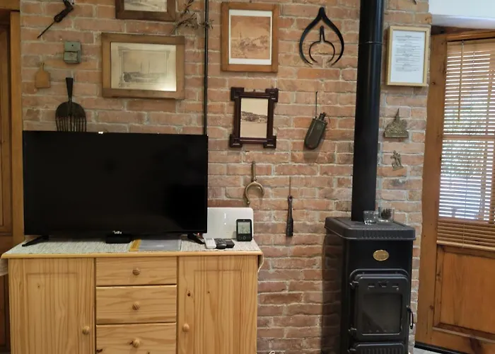 Proto-free Parking 特罗吉尔