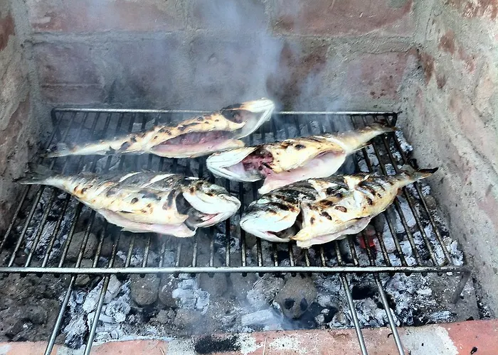 Konukevi Proto-free Parking 3*